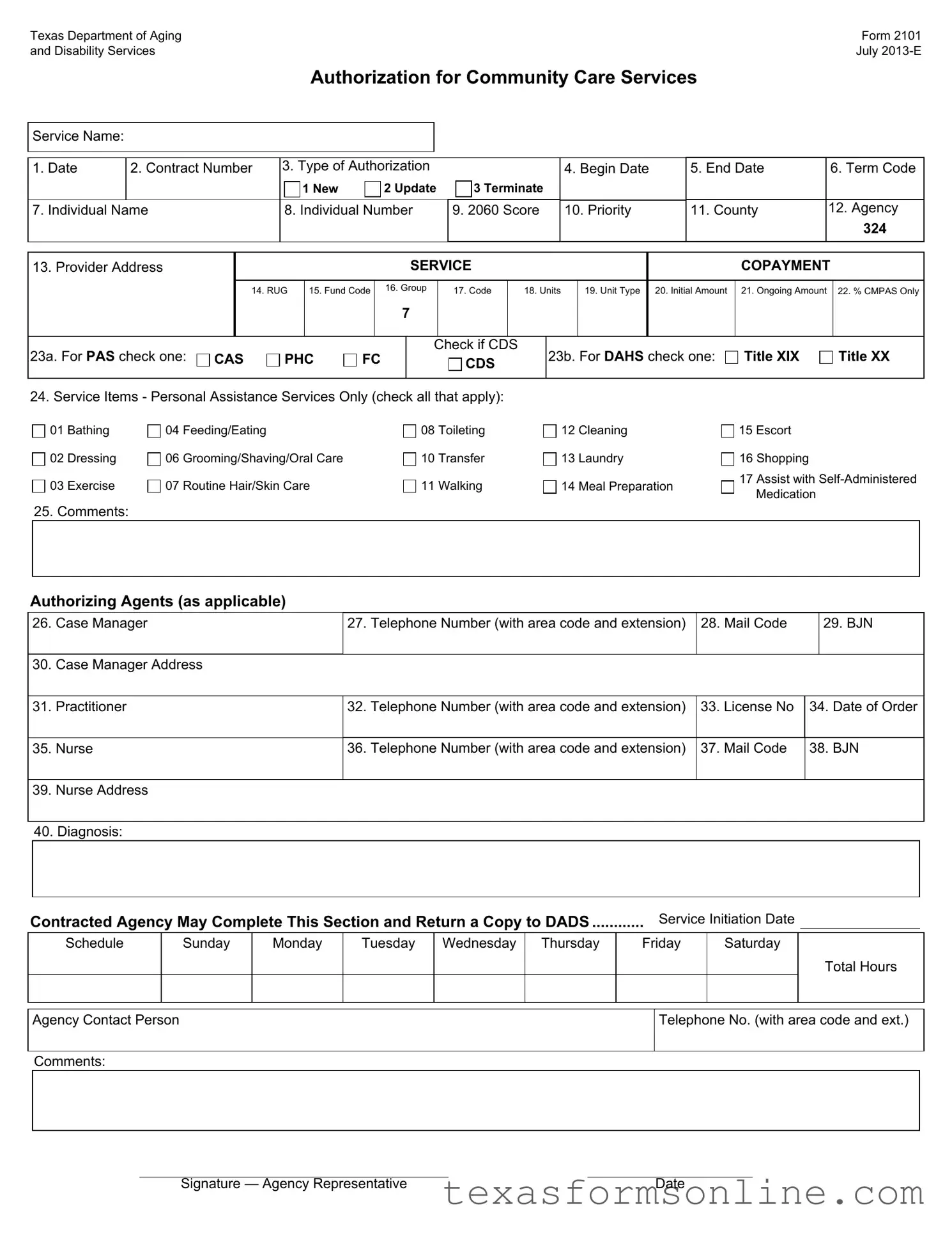 Blank 2101 Texas PDF Form