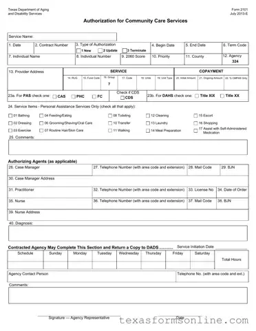 Blank 2101 Texas PDF Form