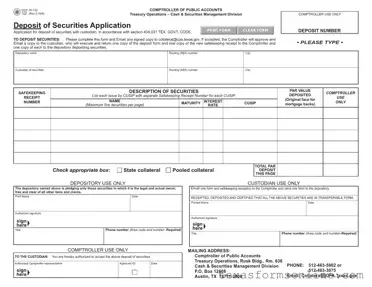 Blank Texas 00 132 PDF Form