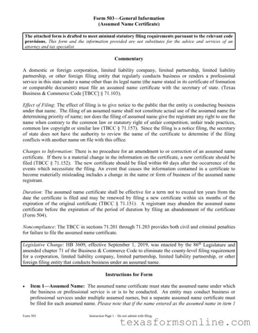 Blank Texas 503 PDF Form