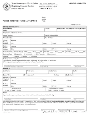 Blank Texas Dps Vi 2 PDF Form