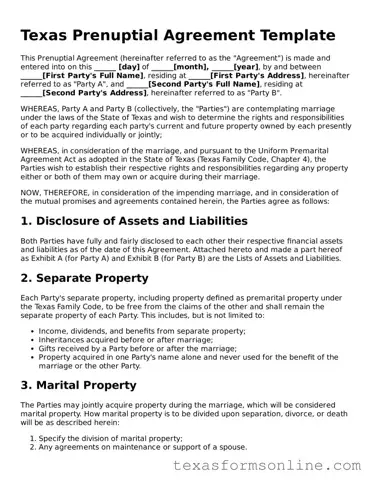 Official Texas Prenuptial Agreement Document