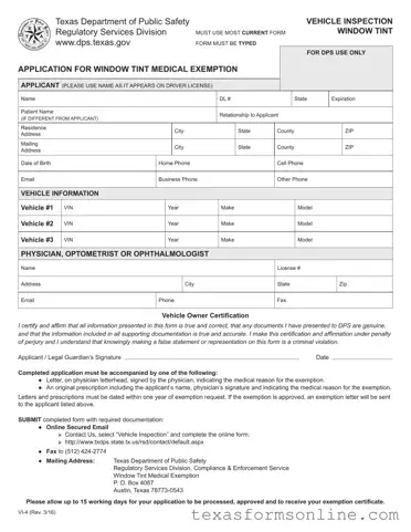 Blank Texas Vi 4 PDF Form