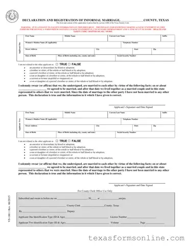 Blank Texas Vs 180 1 PDF Form