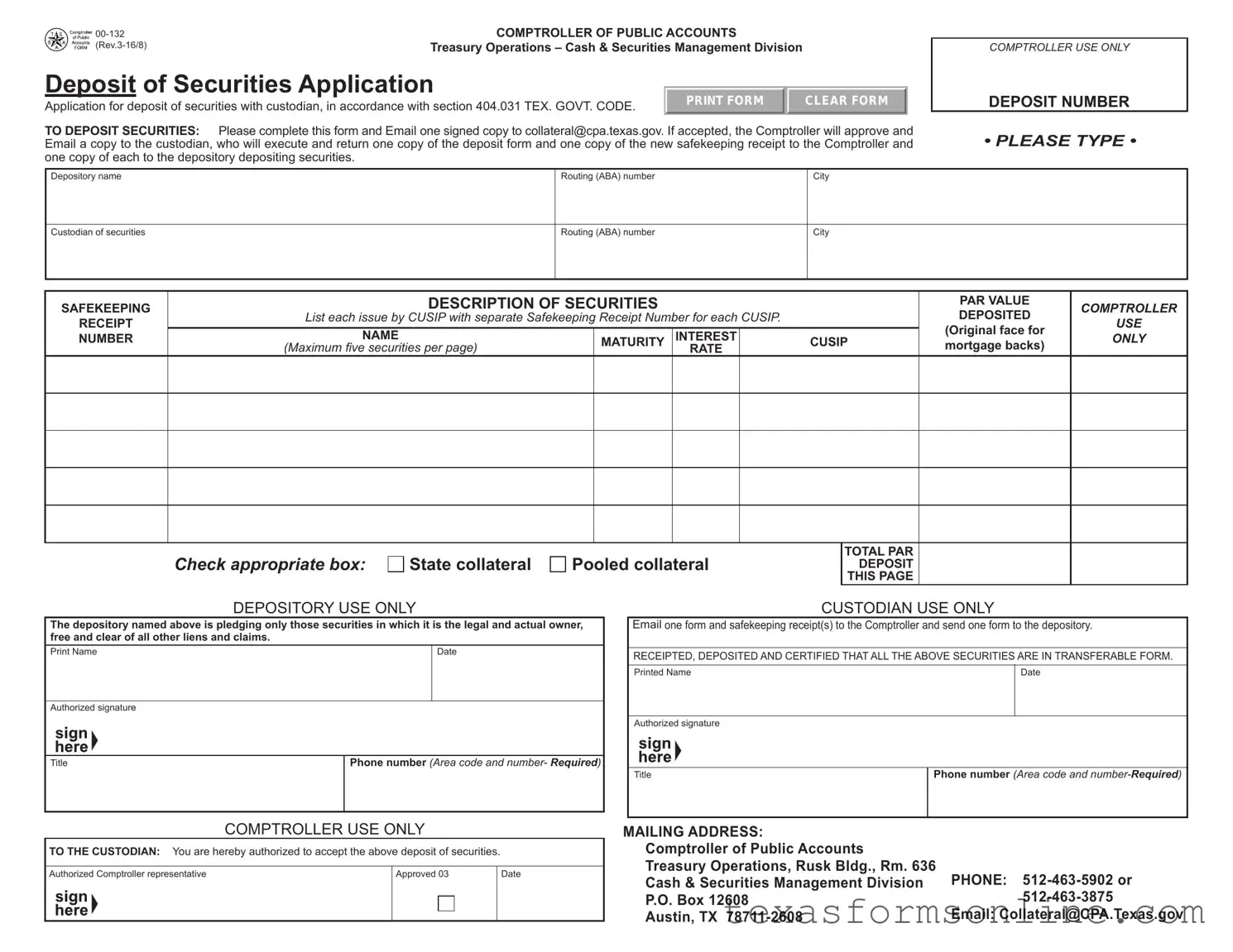 Blank Texas 00 132 PDF Form