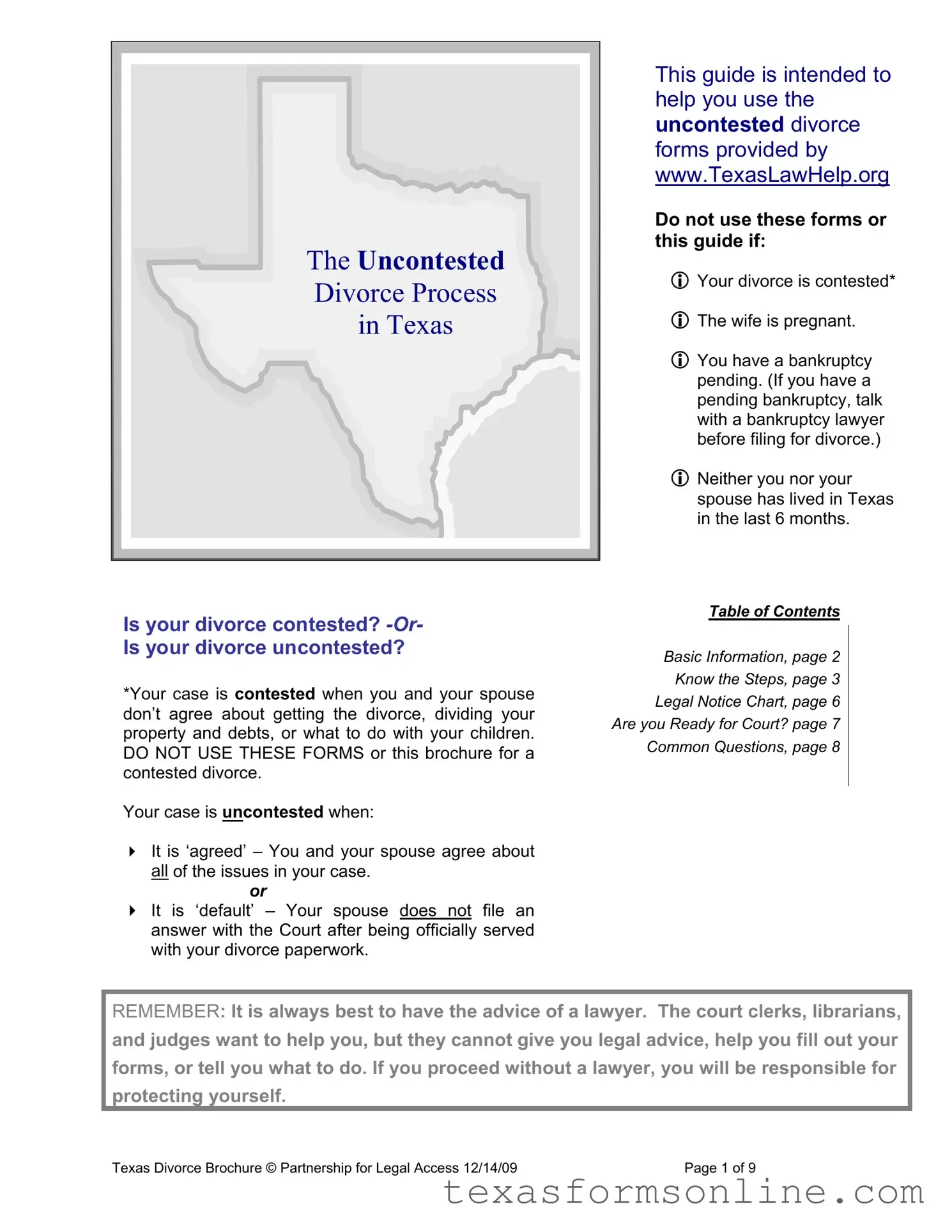 Blank Texas Divorce PDF Form