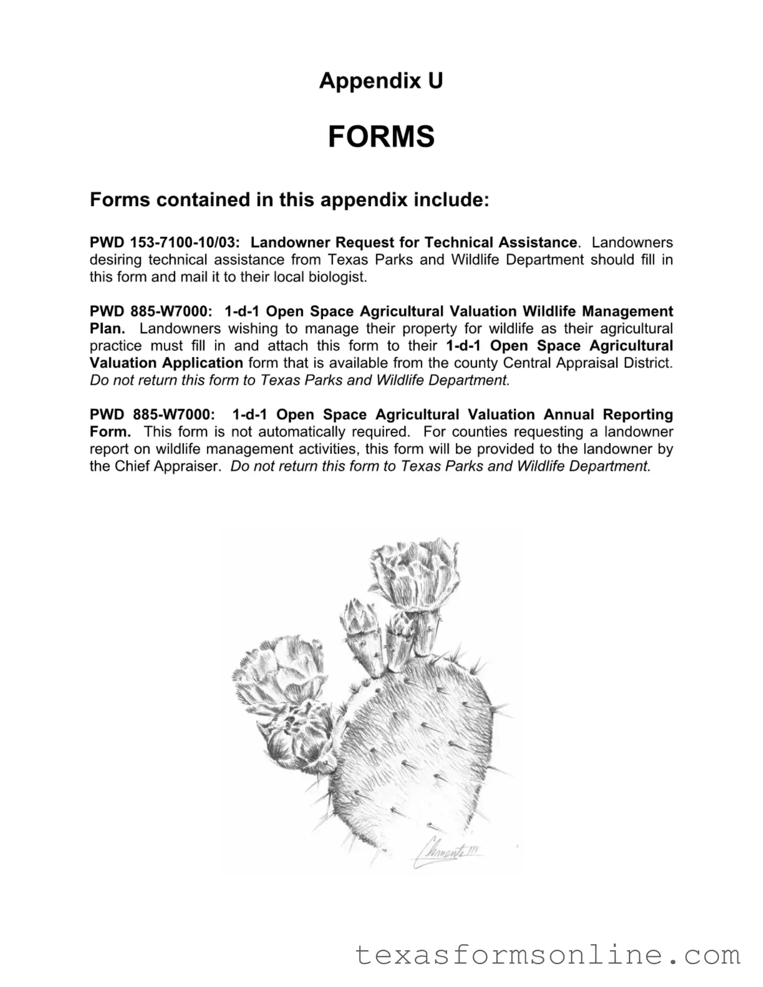 Blank Texas Pwd PDF Form